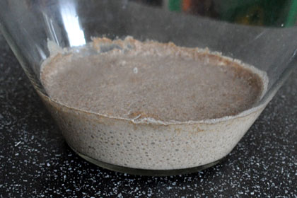 Russian Rye Bread photo instruction 2 Russian Rye Bread photo instruction 2