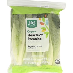 Romaine Lettuce